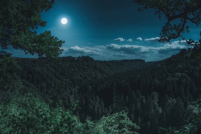 Celestial Lights