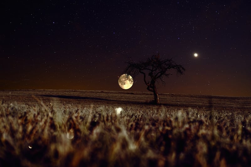 Moonlit Night